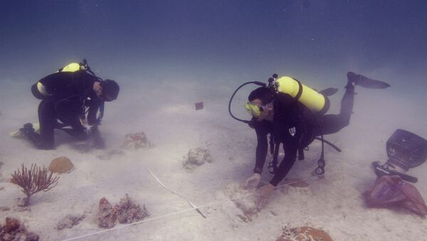 Underwater archaeologists. Florida (File) - Sputnik International