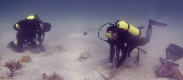 Underwater archaeologists. Florida (File) Underwater archaeologists. Florida (File) - Sputnik International