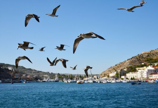 Russian regions, Crimea Russian regions, Crimea - Sputnik International