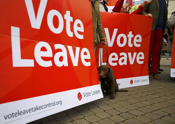 A dog sits by a sign as supporters gather for the launch of the Vote Leave bus campaign, in favour of Britain leaving the European Union, in Truro, Britain May 11, 2016 A dog sits by a sign as supporters gather for the launch of the Vote Leave bus campaign, in favour of Britain leaving the European Union, in Truro, Britain May 11, 2016 - Sputnik International