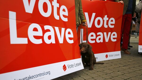 A dog sits by a sign as supporters gather for the launch of the Vote Leave bus campaign, in favour of Britain leaving the European Union, in Truro, Britain May 11, 2016 - Sputnik International