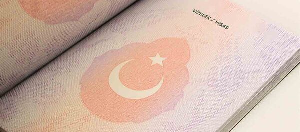 A page from a Turkish biometric passport A page from a Turkish biometric passport - Sputnik International