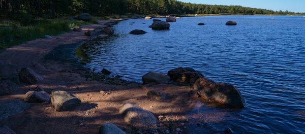 Islands nature reserve in the Gulf of Finland Islands nature reserve in the Gulf of Finland - Sputnik International