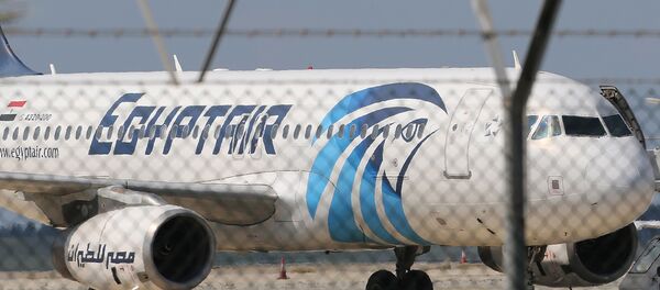 A320 EgyptAir (File) A320 EgyptAir (File) - Sputnik International