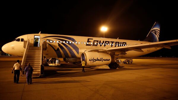 Airport security check an EgyptAir plane after it arrived from Cairo to Luxor International Airport, Egypt - Sputnik International