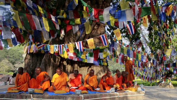 Monks chant as they sit under the Bodhi tree adjacent to the Maya Devi Temple in Lumbini. (File) - Sputnik International