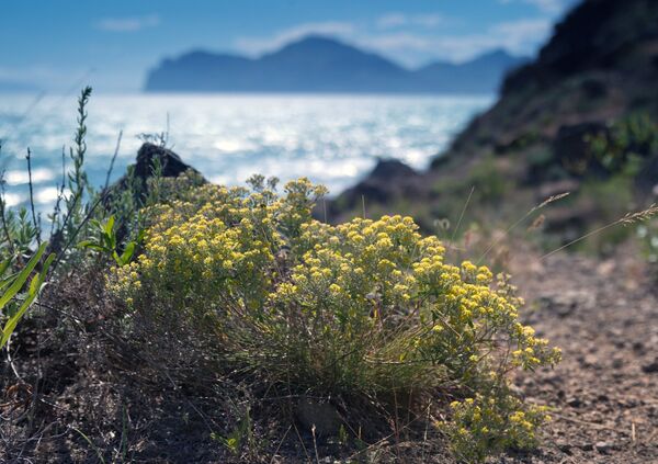 Russian Regions. Crimea Russian Regions. Crimea - Sputnik International