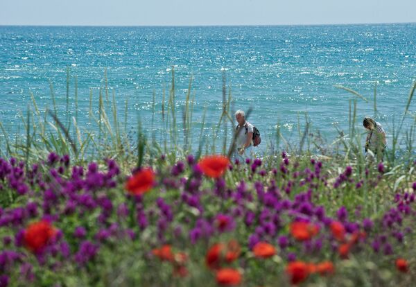 Sun-Kissed Pearl, Breezy & Blossoming: Crimea Awaits Tourists With Open Arms - Sputnik International