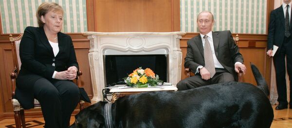 The German chancellor and the Russian president meeting in Sochi - Sputnik International