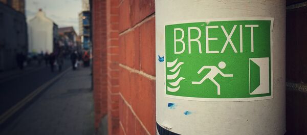 Sign supporting a British exit from the EU - Sputnik International