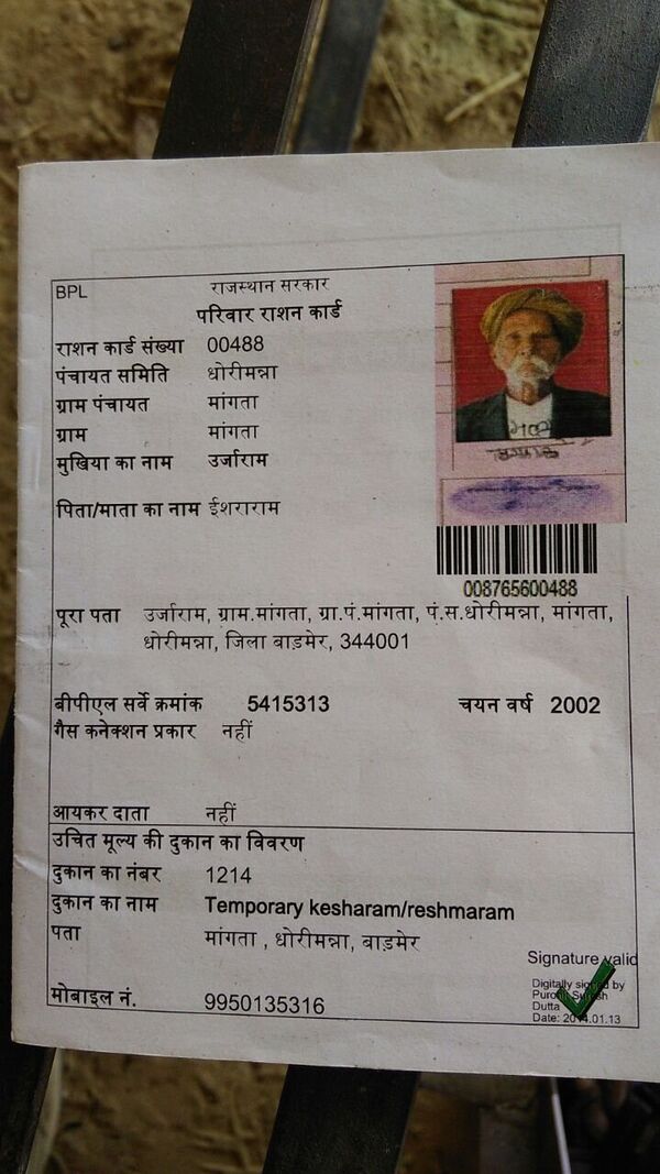 Scorching Indian Summer: Enraged by extreme heat, camel rips off master's head Scorching Indian Summer: Enraged by extreme heat, camel rips off master's head - Sputnik International