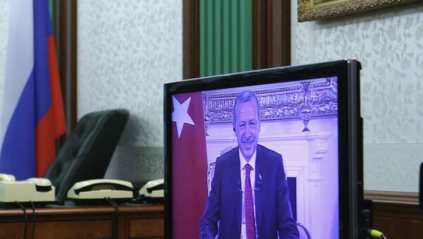 Recep Tayyip Erdogan seen on a screen during a teleconference (File) - Sputnik International