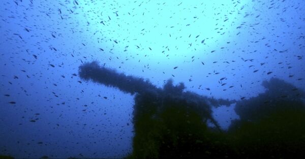The wreckage of a British submarine that was sunk off the coast of Sardinia during World War II. The wreckage of a British submarine that was sunk off the coast of Sardinia during World War II. - Sputnik International