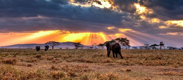 Mother Nature: World's Most Stunning National Parks Mother Nature: World's Most Stunning National Parks - Sputnik International