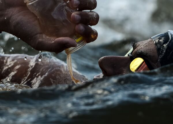 Swimming Swimming - Sputnik International