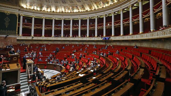 General view of the France's National Assembly, lower house of Parliament  in Paris, France - Sputnik International