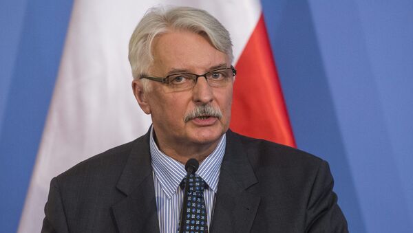 Polish Foreign Minister Witold Waszczykowski speaks during a joint press conference. - Sputnik International