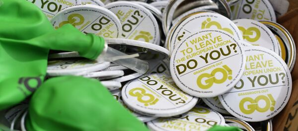 Anti-EU (European Union) badges are pictured during a United Kingdom Independence Party (UKIP) pro-Brexit campaign event, ahead of the forthcoming referendum, in Birmingham, central England, on May 31, 2016. Anti-EU (European Union) badges are pictured during a United Kingdom Independence Party (UKIP) pro-Brexit campaign event, ahead of the forthcoming referendum, in Birmingham, central England, on May 31, 2016. - Sputnik International