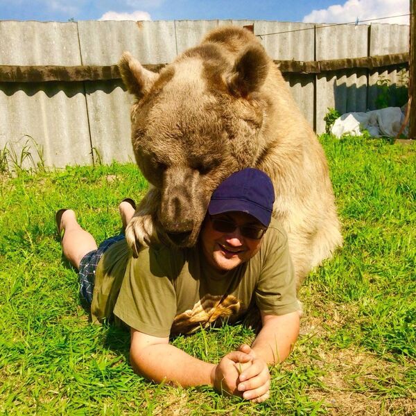 Bear Stepan Bear Stepan - Sputnik International