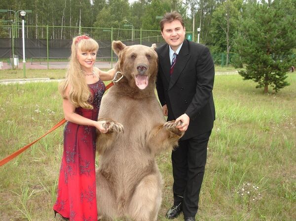 Bear Stepan Bear Stepan - Sputnik International