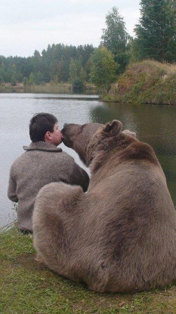 Bear Stepan Bear Stepan - Sputnik International
