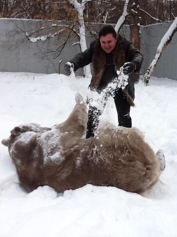 Bear Stepan Bear Stepan - Sputnik International
