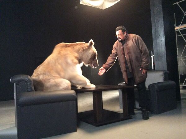 Bear Stepan Bear Stepan - Sputnik International