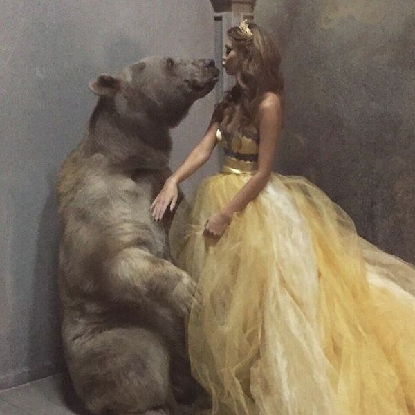 Bear Stepan Bear Stepan - Sputnik International