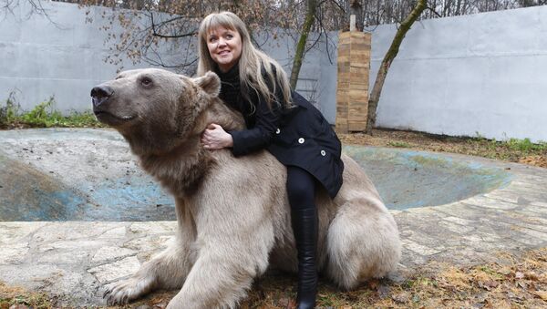 Stepan the Bear lives in Losiny Ostrov Park - Sputnik International