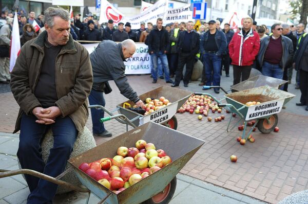 Polish farmers and horticulturists protest in Warsaw Polish farmers and horticulturists protest in Warsaw - Sputnik International