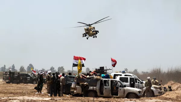 Iraqi pro-government forces gather near al-Sejar village, north-east of Fallujah, on May 25, 2016, as they take part in a major assault to retake the city from Islamic State (IS) group - Sputnik International