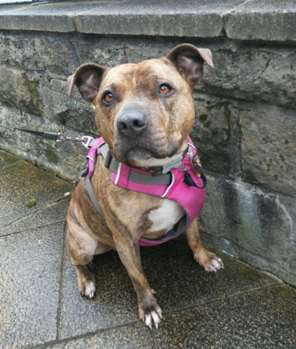 Freya - Sputnik International