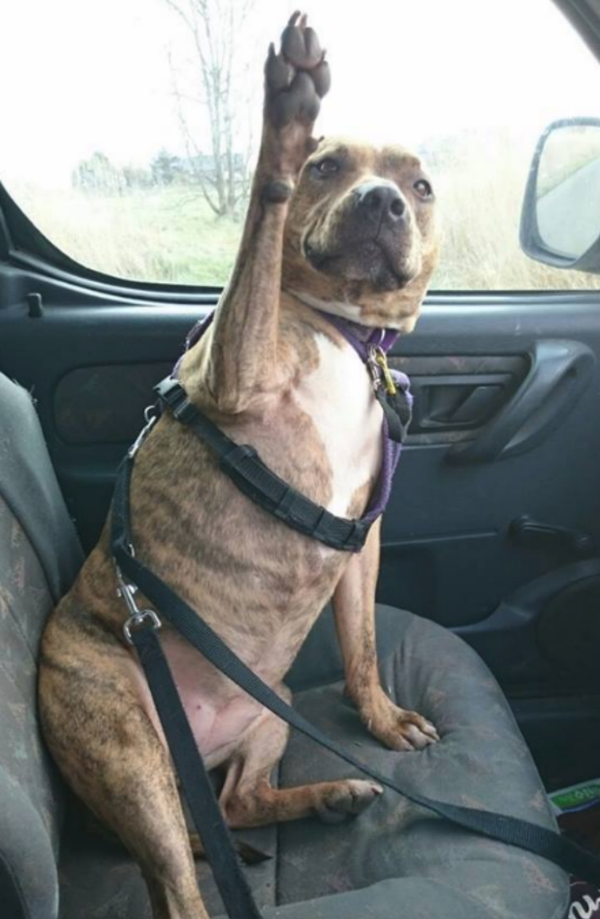 Freya - Sputnik International