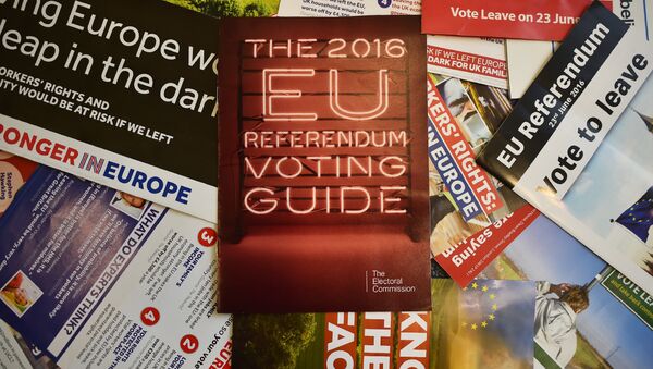 Leaflets delivered recently to British households, relating to the forthcoming European Union (EU) referendum, are arranged for a photograph in London on May 31, 2016 - Sputnik International