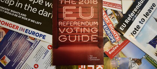 Leaflets delivered recently to British households, relating to the forthcoming European Union (EU) referendum, are arranged for a photograph in London on May 31, 2016 - Sputnik International