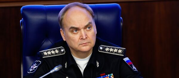 Russia's Deputy Defense Minister Anatoly Antonov during a briefing on the situation in Syria at the ministry's Press Cente Russia's Deputy Defense Minister Anatoly Antonov during a briefing on the situation in Syria at the ministry's Press Cente - Sputnik International
