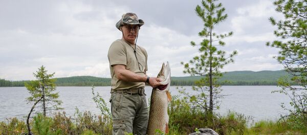Russian President Vladimir Putin on a fishing trip in the Krasnoyarsk Territory. (File) Russian President Vladimir Putin on a fishing trip in the Krasnoyarsk Territory. (File) - Sputnik International