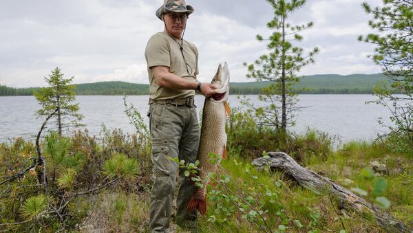 Russian President Vladimir Putin on a fishing trip in the Krasnoyarsk Territory. (File) - Sputnik International