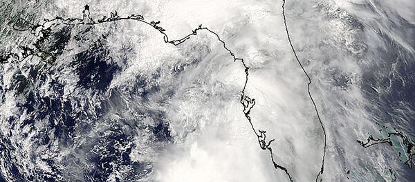 Tropical Storm Colin is seen over the Gulf of Mexico. Tropical Storm Colin is seen over the Gulf of Mexico. - Sputnik International
