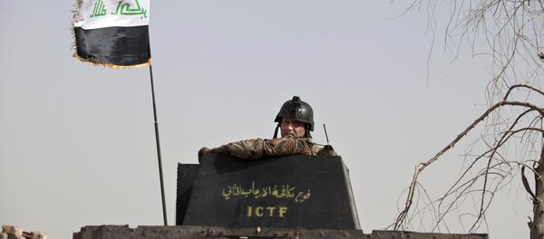 A soldier from Iraq's elite counterterrorism forces looks from the gun turret of a Humvee as troops gather on the edge of the Shuhada neighborhood in Islamic State-held Fallujah, Iraq A soldier from Iraq's elite counterterrorism forces looks from the gun turret of a Humvee as troops gather on the edge of the Shuhada neighborhood in Islamic State-held Fallujah, Iraq - Sputnik International