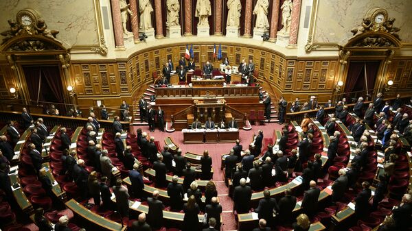 French Senate. (File) - Sputnik International