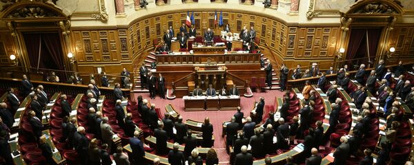 French Senate - Sputnik International