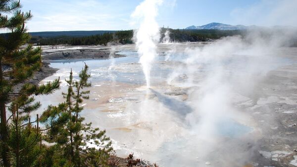 Man Falls Into Yellowstone Geyser After Leaving Path, Presumed Dead - Sputnik International