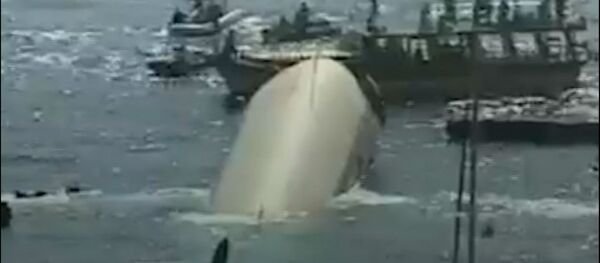 Turkish Aerobus - Sputnik International