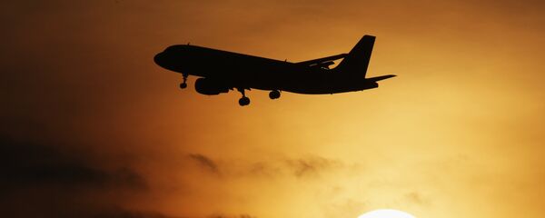 Airbus A-319 at Domodedovo airport - Sputnik International