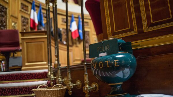French Senate votes to ease sanctions against Russia - Sputnik International