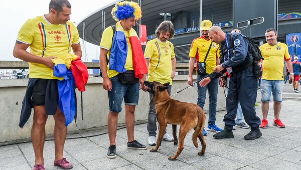 A security guard and sniffer dog check Romania supporters prior to the Euro 2016 Group A soccer match between France and Romania, at the Stade de France, in St. Denis, north of Paris, Friday, June 10, 2016 - Sputnik International