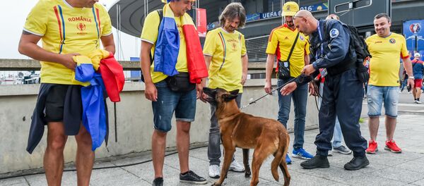 A security guard and sniffer dog check Romania supporters prior to the Euro 2016 Group A soccer match between France and Romania, at the Stade de France, in St. Denis, north of Paris, Friday, June 10, 2016 - Sputnik International