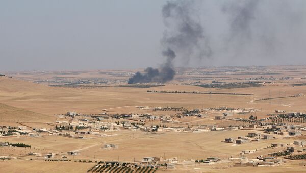 Smoke rises from villages in the southern rural area of Manbij, in Aleppo Governorate, Syria. file photo - Sputnik International