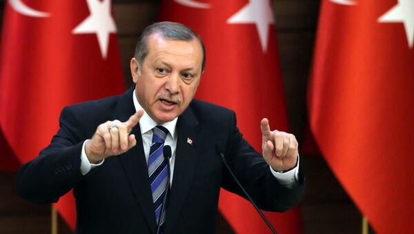 Turkish President Recep Tayyip Erdogan (File) - Sputnik International